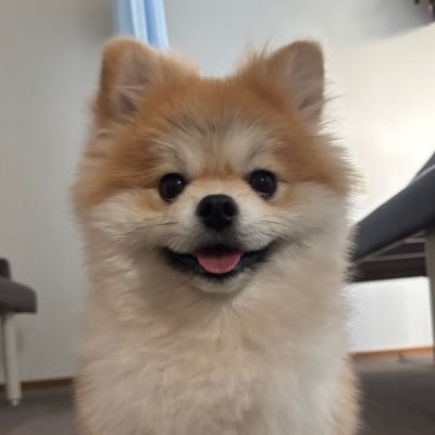 ma_kochu's profile picture. 前のアカウント乗っ取られたので新しく作りました！よろしくお願いします！