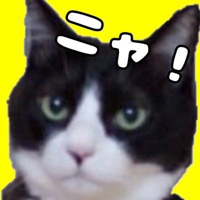 RanjanK00433126's profile picture. 