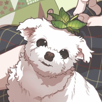 daebeogbeog06's profile picture. 급한 연락은 옾챗