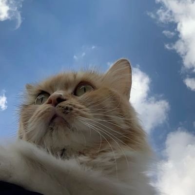 RehabElbanna8's profile picture. FSTU student 👩🏻‍🔬