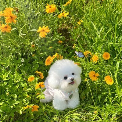 enjvj75888559's profile picture. 私はたくさんの趣味があります✨
旅行✈️、音楽🎶、ゴルフ🏌️‍♀️、テニス🎾、ヨガ🧘‍♀️、朝のランニング🌅、そして読書📚まで、幅広く楽しんでいます。
友達をつくることも、私の人生の大切な一部です😊🤝💖。  

私はたくさんの趣味があります✨
旅行✈️、音楽🎶、ゴルフ🏌️‍♀️、テニス🎾、ヨガ