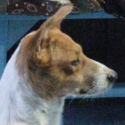 realranuel's profile picture. goal: smoke cigarette & vibing on bridge
Arknights/CoDM grinder

https://t.co/CM6vtg8ZE1 (ded server)