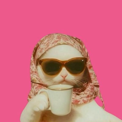 nocontrolcande's profile picture. it will pass