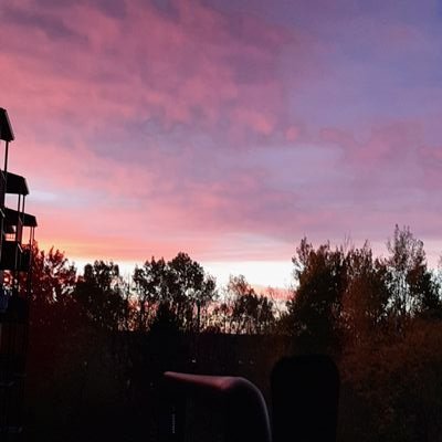 LCoulombe9's profile picture. Je suis une femme qui cherche la Vérité et qui est certaine que Trump a gagné!💫 Je fais confiance au Plan! I'm against the fake covid,fake elections....