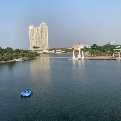 crrunchycrunch's profile picture. 