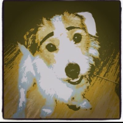 buamoji's profile picture. -