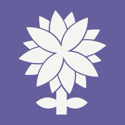 SenadoMulher's profile picture. 💜 Proteger os Direitos das Mulheres é fortalecer a democracia