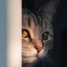 yiyiyilam's profile picture. Can't see no tomorrow
😵‍💫🫂
良心做人和貓糧一樣重要😹🙋🏻‍♀️
