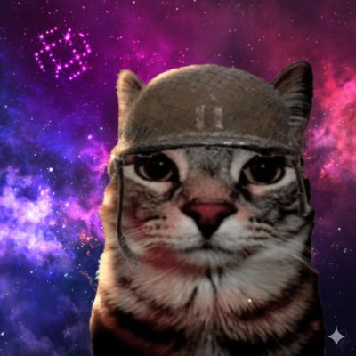 TheTradMod's profile picture. Smart Contracts Triager @immunefi