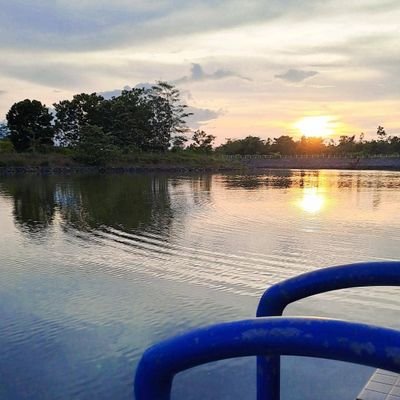 ciumdluuu's profile picture. ambi(V)ert🍃