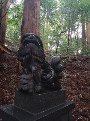 norakomainu's profile picture. 