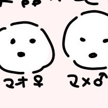 84appare's profile picture. 情報収集用