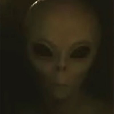 JiltedLens's profile picture. If you are funded by a foreign lobby, you are America last!