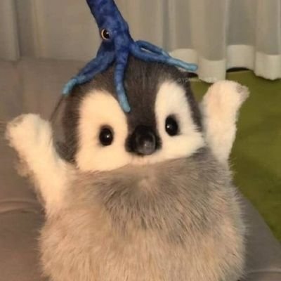 Mya2ng's profile picture. 짱강아지ʋ•ﻌ•ʋ
최고밤비𐔌՞･·･՞𐦯