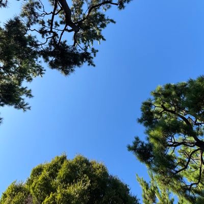 sohehoh's profile picture. 