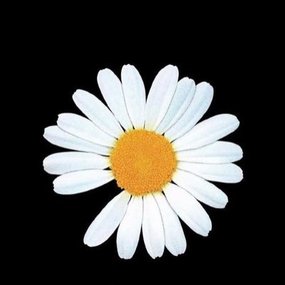 ChainZZZA's profile picture. 市场的秘密