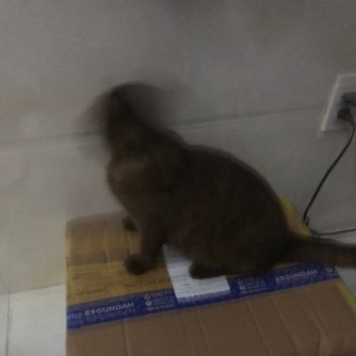 icmiygl's profile picture. 