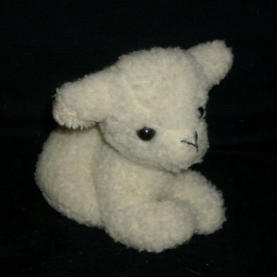 lambi ᶻ 𝗓 𐰁 Profile