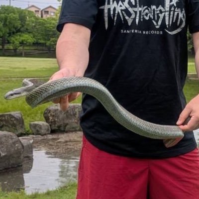 tantan_python's profile picture. 下品なポストやクモゴキ画像容赦なく垂れ流します(モザイク無し)。特定の趣味アカウントではございませぬ。色々ヤッてます。ボールパイソン販売アカウントは→@BrightEyes_2022