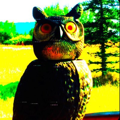 dangerdelw's profile picture. Compelled by Schlock podcast 📽 Tipsycrits Game Co ⚔️ Electronic Pop punk 👾 ⬇️⬇️⬇️