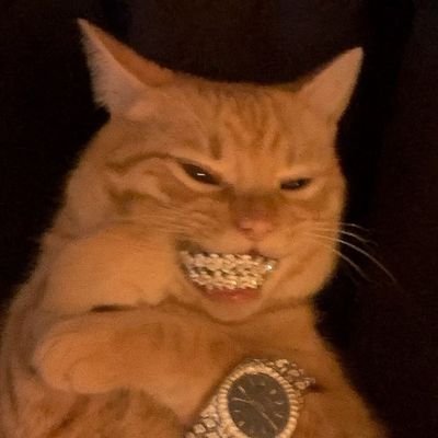 Iced_Paw's profile picture. Possessed by Mobile security, Hellcat and orange cats

*** Stack Smashing Detected ***
Segmentation fault