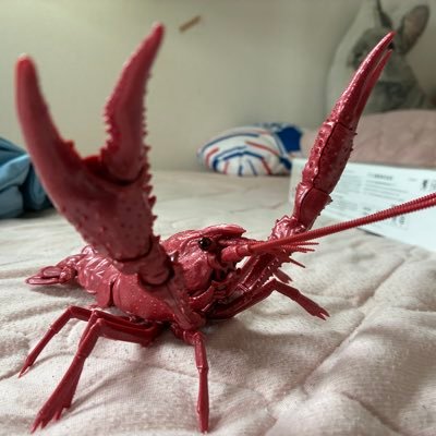 すな かける(刈谷ｱﾆｺﾚ出没)