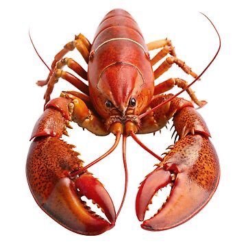 SaNeaHaaa's profile picture. art+ rambling accounts | 🇹🇭 | English is not my first language! art accounts. mutilfandom