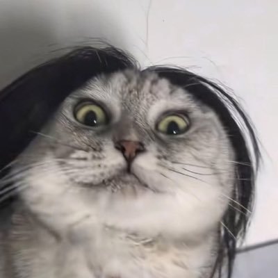 @_chipscool