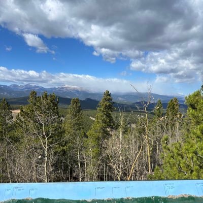 Forreesstt's profile picture. 