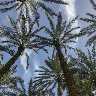 xra7___'s profile picture. ﴿وَاجْعَلْنِي مِن وَرَثَةِ جَنَّةِ النَّعِيمِ﴾.