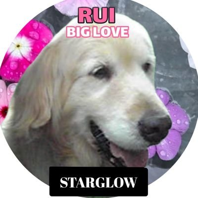 10KM4QXJ0IDFwgA's profile picture. BMSG:RUI BIG LOVE
ザストからルイ最推し
ザスト感電で沼のフチ→YOLOで沼底へ
📦️も応援
ビファはジュノン…好きぃ♡
マゼはナオくん…やべぇ♡
HANAはチカちゃんかなぁ〜♡
ルイデビューまで絶対シネナイ…
⇨デビュー決定おめでとう⭐️
※BESTY※アキテク民※ザスト民※RP🏢垢有り