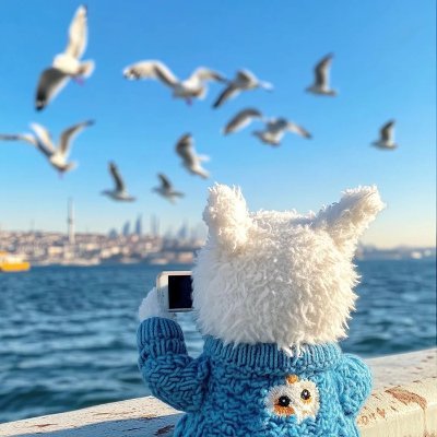 TomoShadeee's profile picture. 어두운 길에도 작은 빛은 있다🌙꾸준히 하는 수밖에 없습니다. 마지막 성공을 거둘 수 있습니다, 운동처럼.