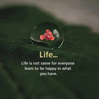 sochnayiindiaki's profile picture.
