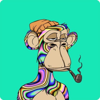 ptmNFT's profile picture. founder @fragmentxyz | ptm.eth | digital art enjoyooooor | degen 🚀