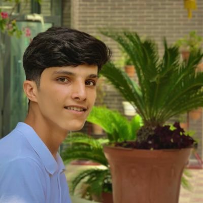 WaliAhmady73407's profile picture. 