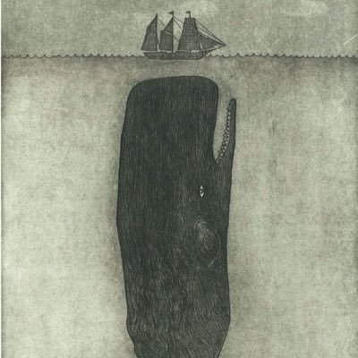 RosaFabregasT's profile picture. Tossa