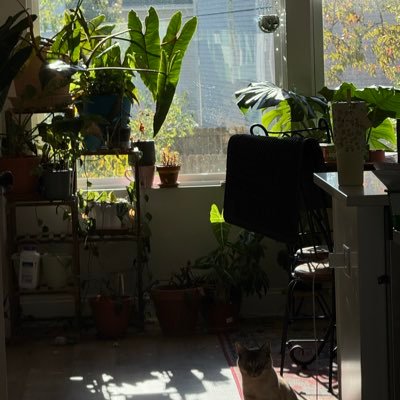 ramseykhoward's profile picture. 