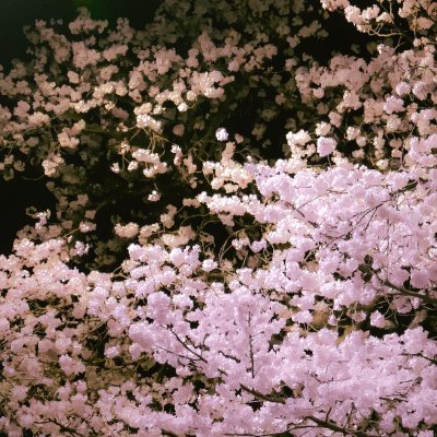 public_dev_'s profile picture. 🇰🇷 / Piano enthusiast
ex-Intern @NethermindEth, ex-Grantee @PrivacyEthereum.
Currently studying cryptography, Algebraic Geometry (Elliptic Curve)