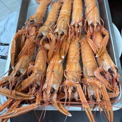 JasonLiu1084150's profile picture. 