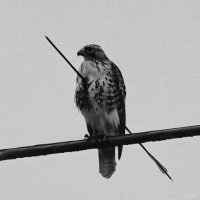 Unbroken (@unbrokenonsol) 's Twitter Profile