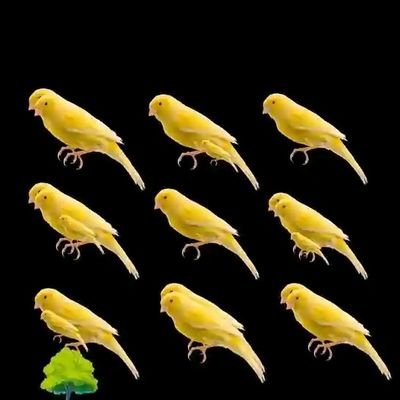 realDannybright's profile picture. Blockchain & We3 | Politics | Health | Faith | Love