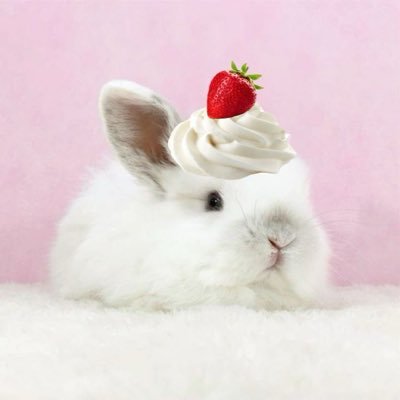 zarahcqmpo's profile picture. Cute