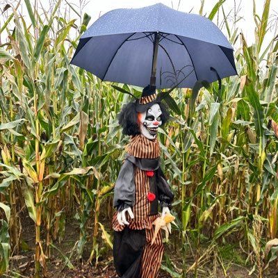 AichyKJ7's profile picture. 🏴󠁧󠁢󠁷󠁬󠁳󠁿🇮🇪🇬🇧