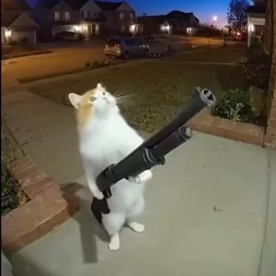 GodDamnJohnson's profile picture. NA