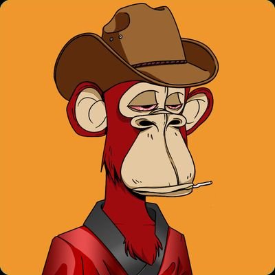 DocOmega12's profile picture. 🇺🇲🇺🇲🇺🇲 || Proud Texan || Texas A&M || BTC/ETH || BAYC #5536 || OthersideMeta explorer || Buc-ee's enthusiast