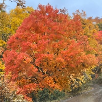 AnneUncensored_'s profile picture. 