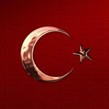 tuncozen96's profile picture. Fenerbahçeli || Türk Milliyetçisi 🇹🇷