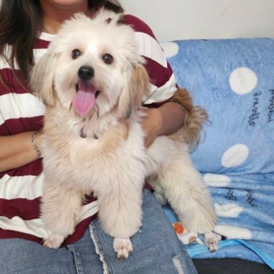 Casescreenbyoum's profile picture. 