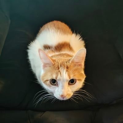 sam669788594337's profile picture. 