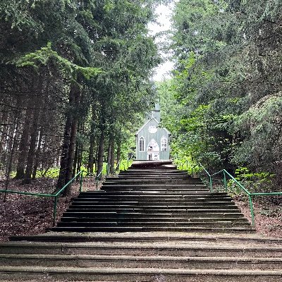 RickyVe16's profile picture. 